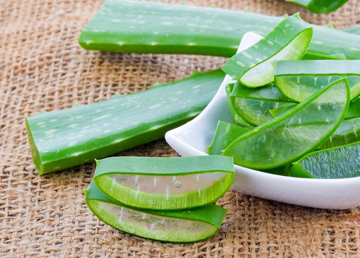 Hoja de Sábila para la Piel