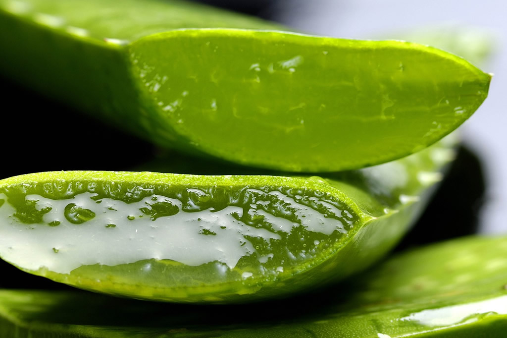 Proveedor de gel de aloe vera en Colombia