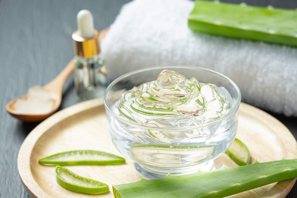 Venta y exportación de aloe vera desde Colombia a Estados Unidos
