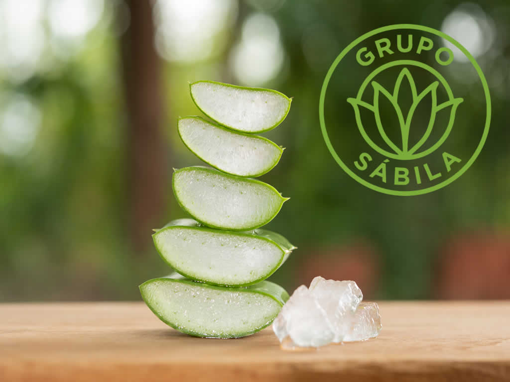 Aloe Vera en Colombia Grupo Sábila