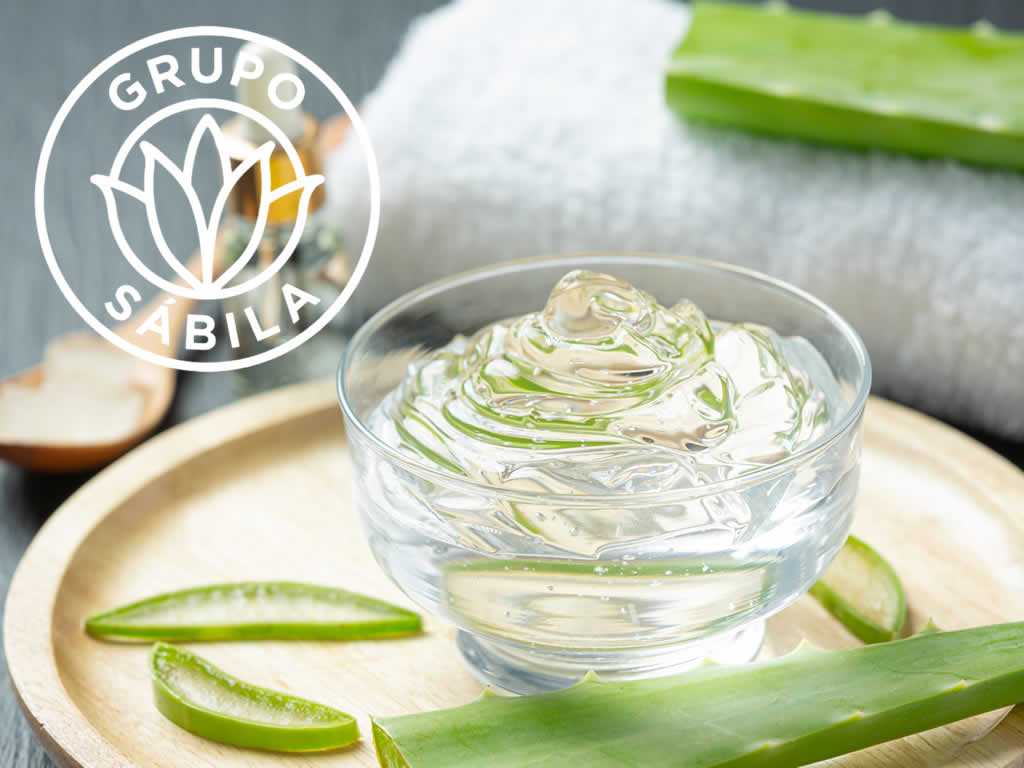 Proveedor de Materia Prima de Aloe Vera